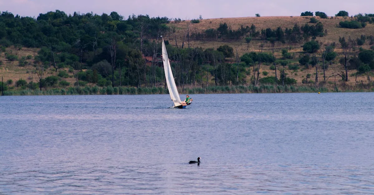 découvrez le land sailing, un sport nautique terrestre alliant vitesse et sensation de liberté sur des véhicules à voile adaptés au vent et à la terre.