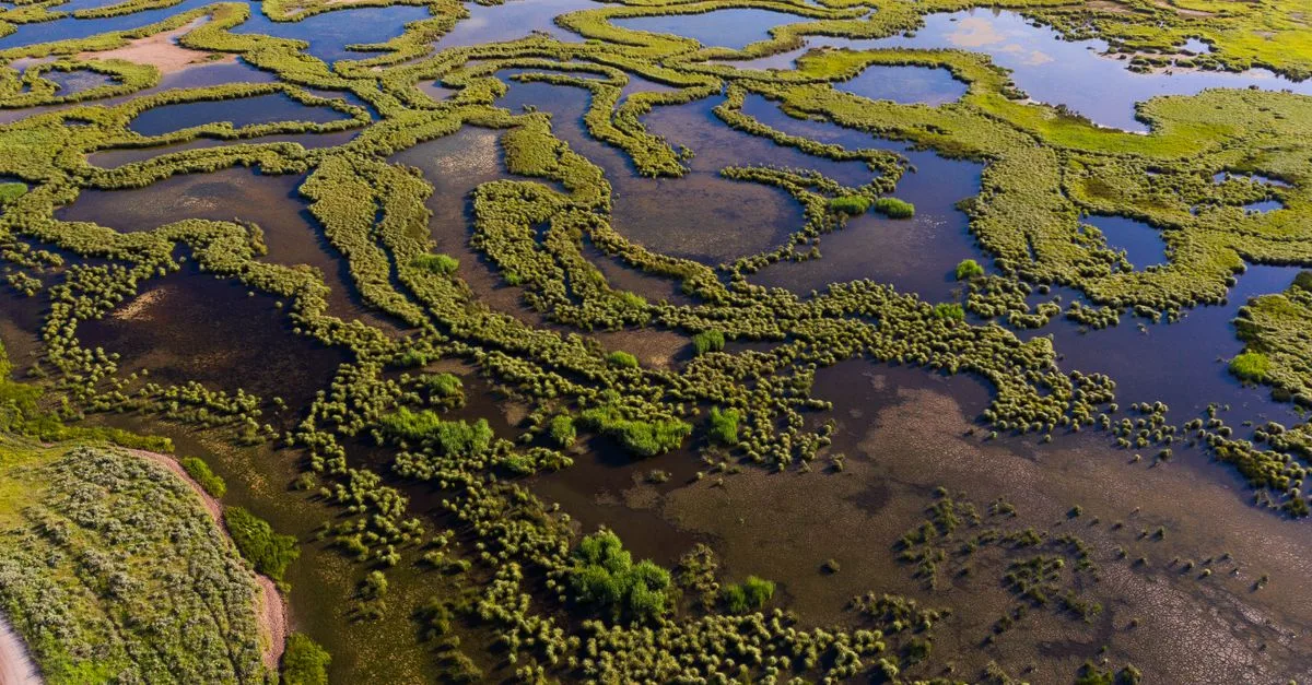 découvrez notre modèle écologique innovant alliant durabilité et technologie pour un avenir respectueux de l'environnement.