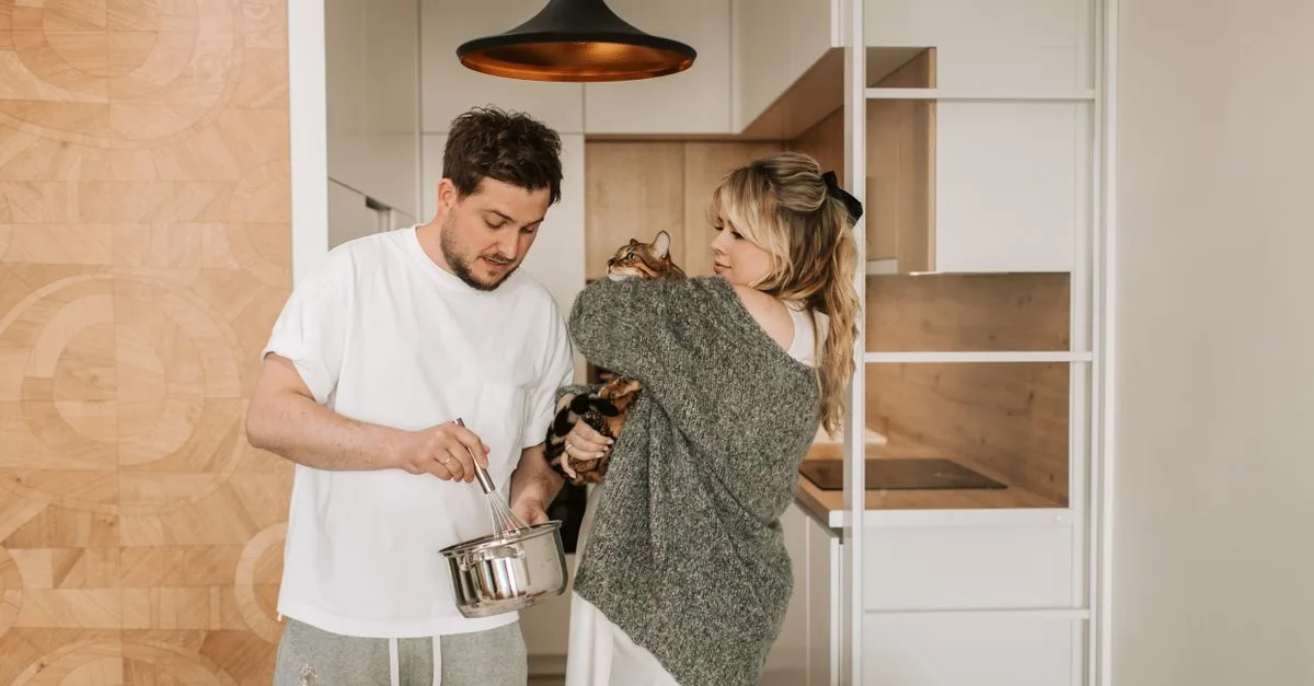 découvrez nos conseils pratiques pour une cohabitation harmonieuse entre chats, favoriser leur bien-être et éviter les conflits.